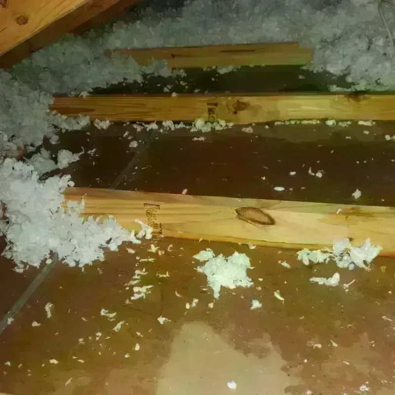 Best Attic Water Damage Service in Richland, MS