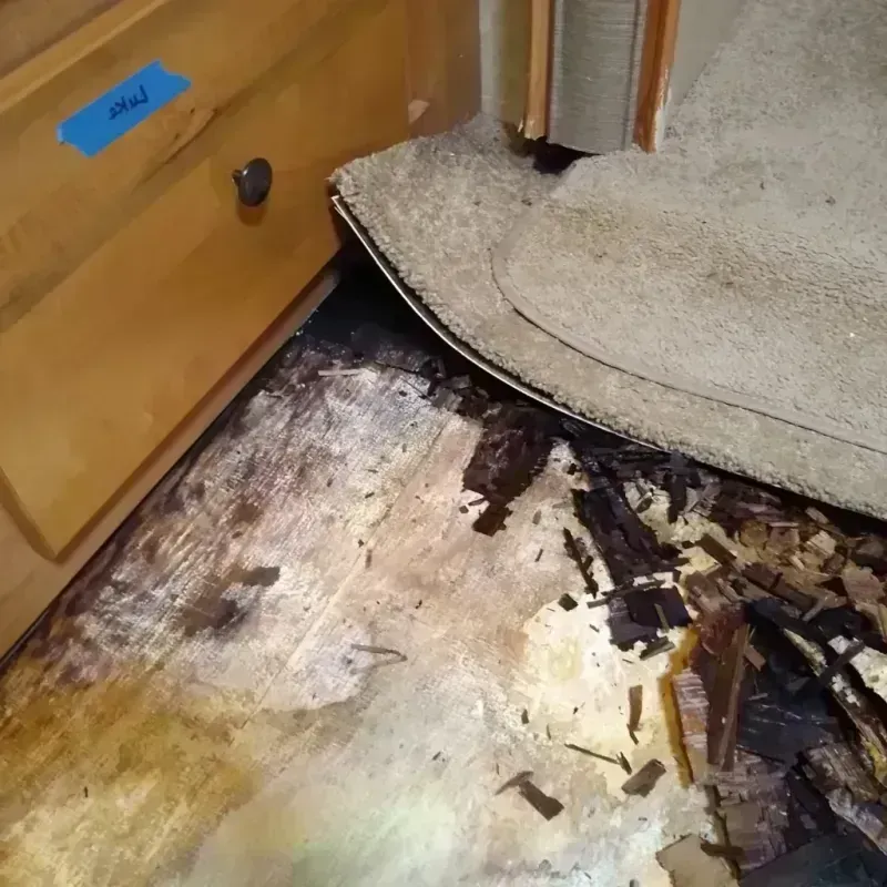 Wood Floor Water Damage in Richland, MS